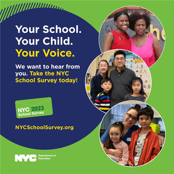 Take the NYC School Survey for Long Island City High School